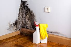 Best Residential Mold Inspection & Testing  in Alexandria, IN